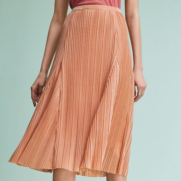 Anthropologie Dresses & Skirts - Anthropologie Pleated Metallic Midi Skirt